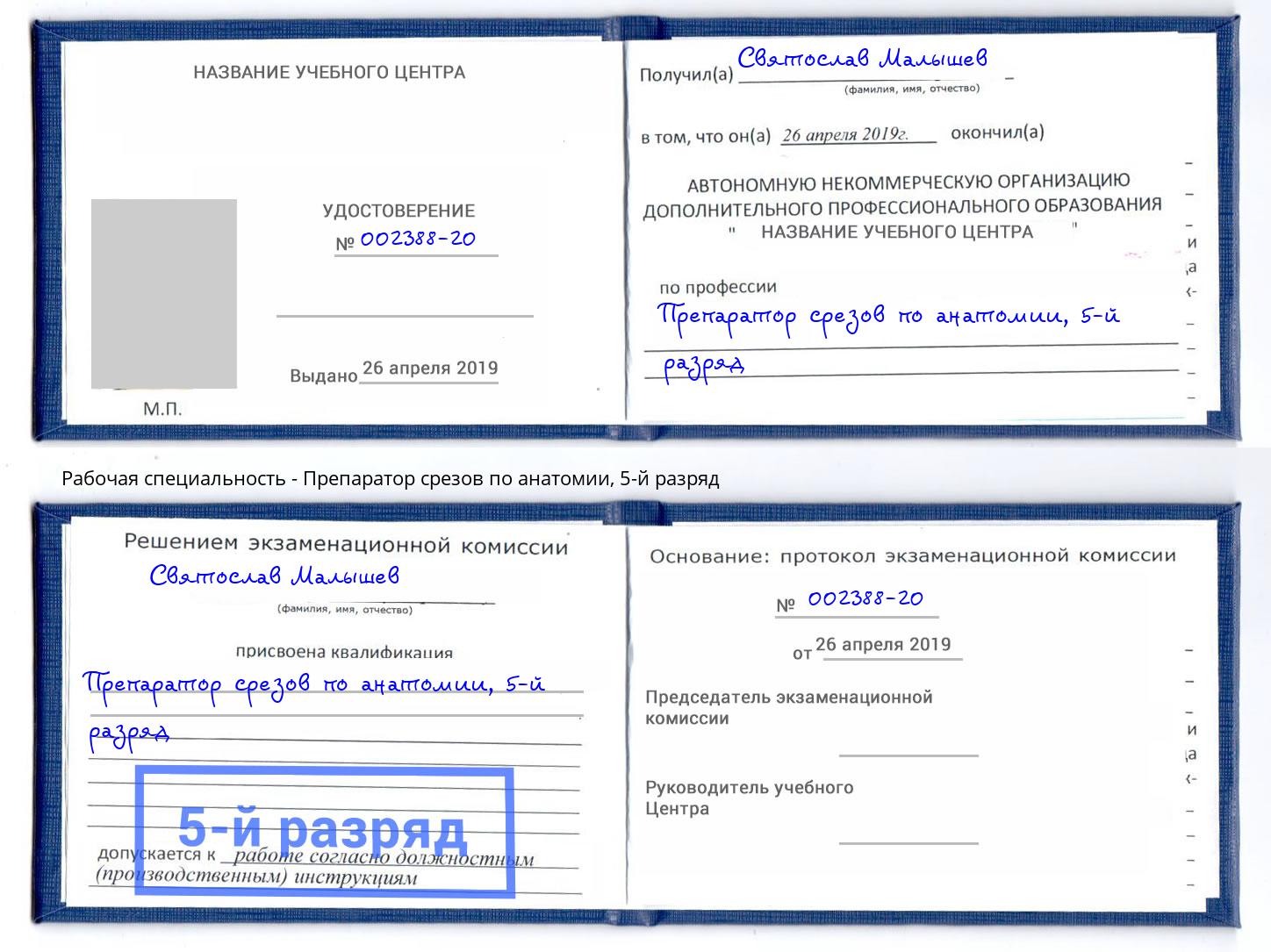 корочка 5-й разряд Препаратор срезов по анатомии Острогожск